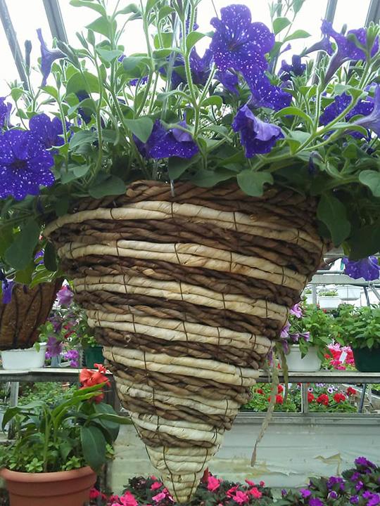 Sue's Flower & Garden Center Greenhouse Manchester, IA